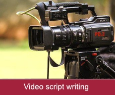 Video script writer