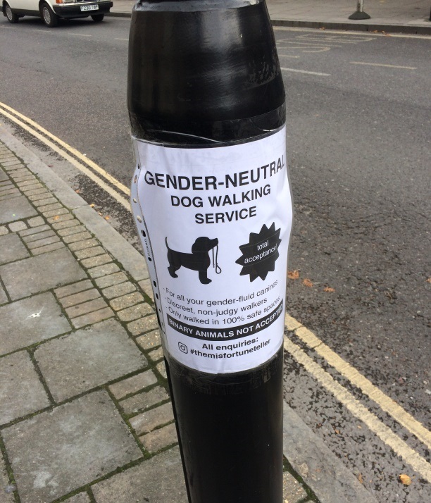 The gender-neutral dog walker