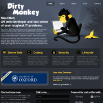 Dirty Monkey - IT sector small business web content