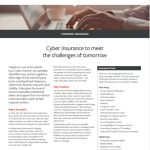 Cyber insurance brochure copy by financial copywriter