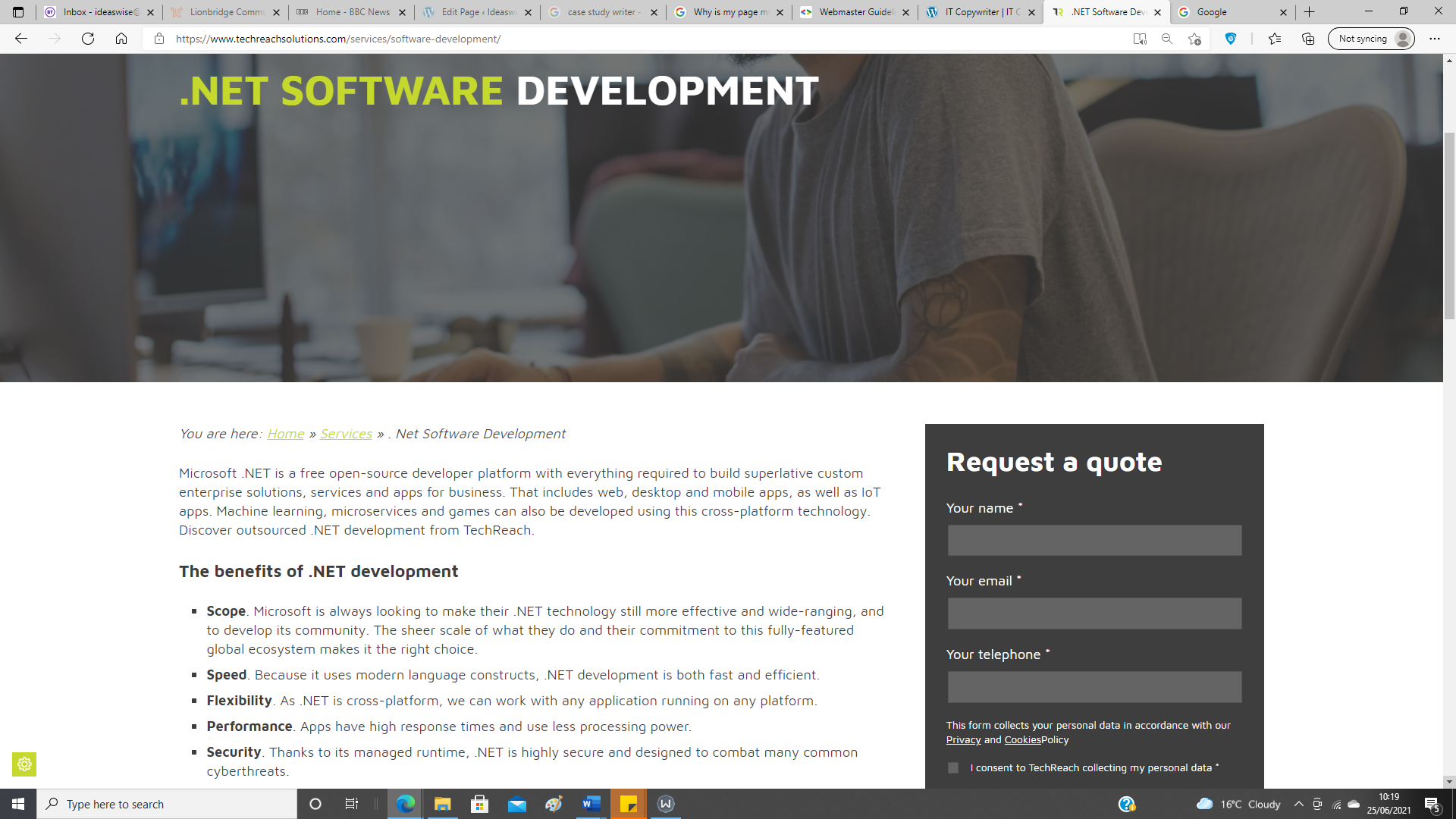 .Net software development web copy