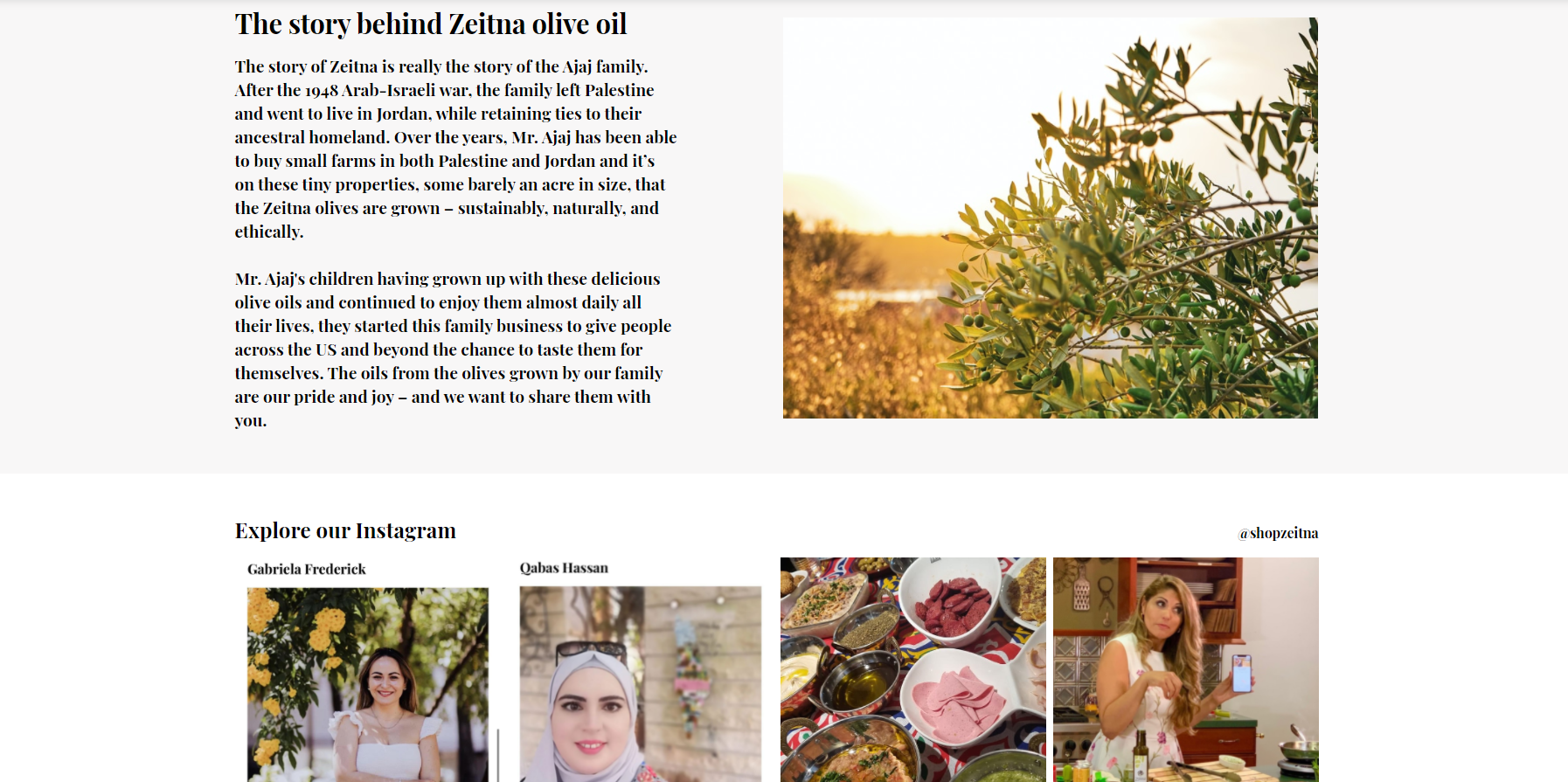 Zeitna olive oil website copy