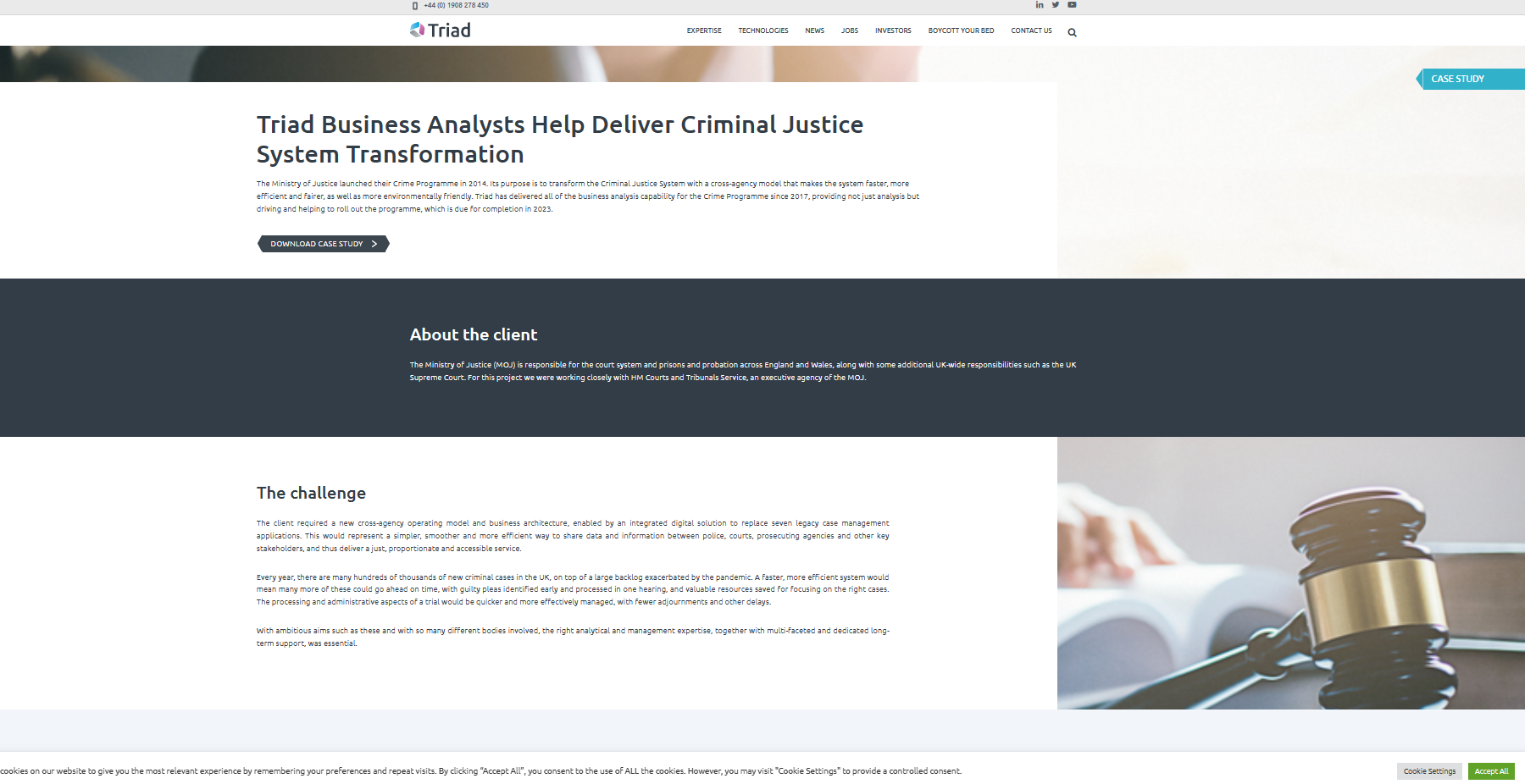 Triad Criminal Justice System case study copy sample